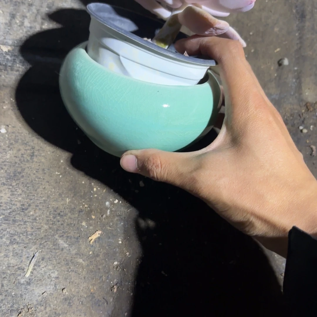 浩*小绿瓶新疆包邮！！