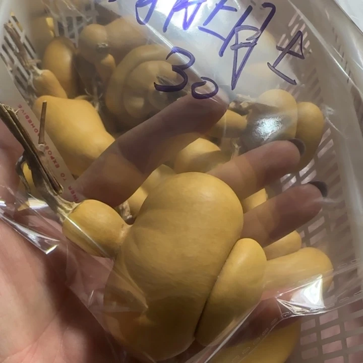 绮***肚葫芦钱袋子葫芦手把件葫芦