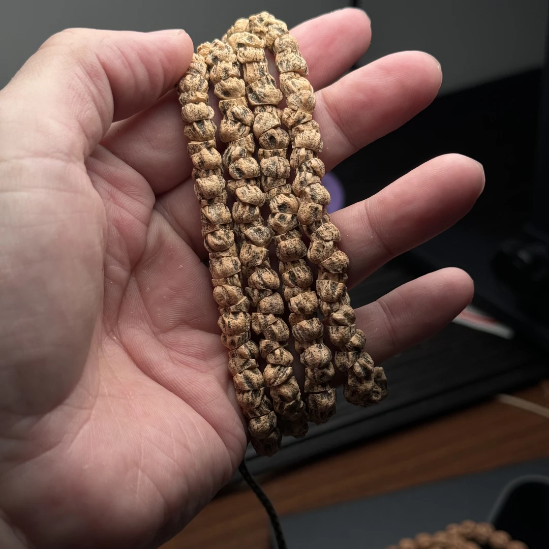 热振柏香籽狂鬼肠尺寸7➕