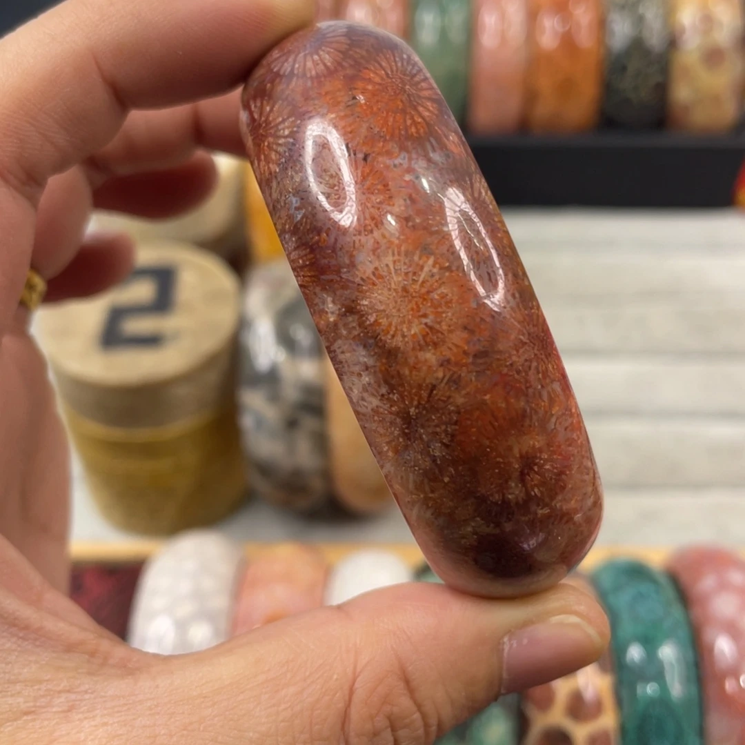 未镶嵌手镯硅化玉