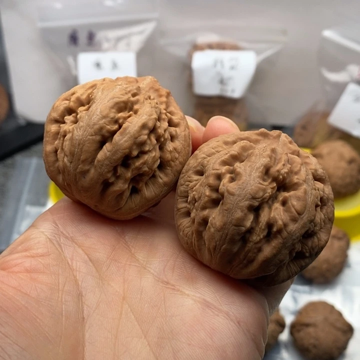 吊坠文玩核桃43霸王龙