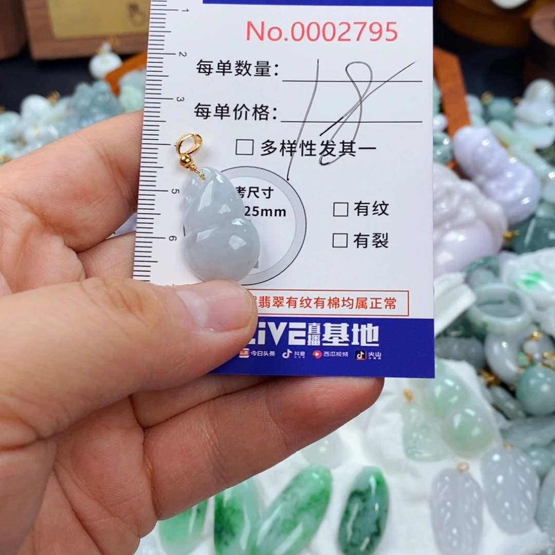 翡翠未镶嵌颈饰2795