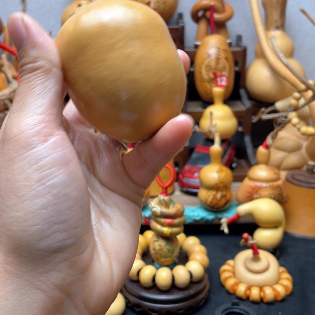 大自然的秘密第十节第二十九