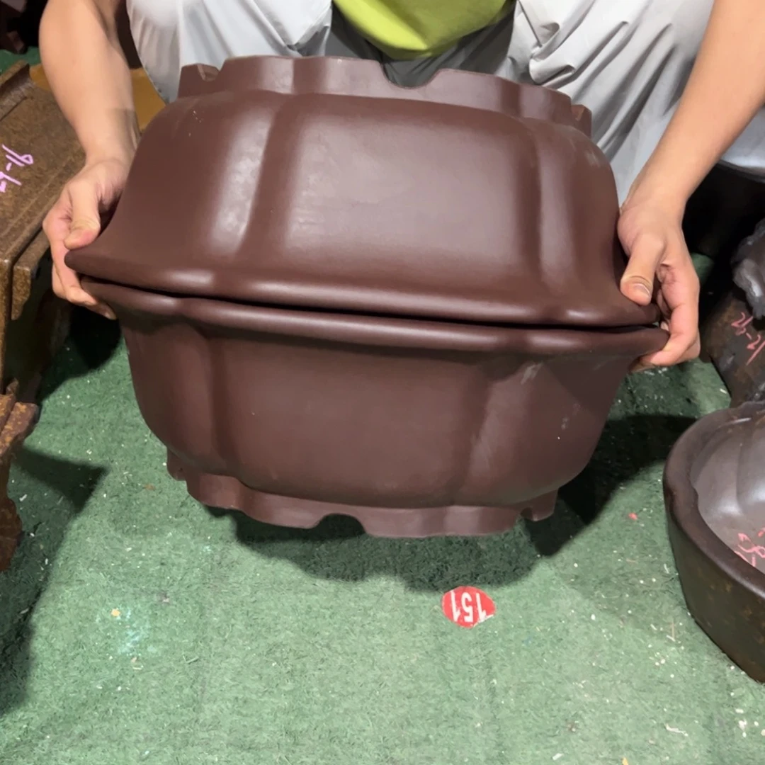 紫砂花盆情***缘紫砂花盆