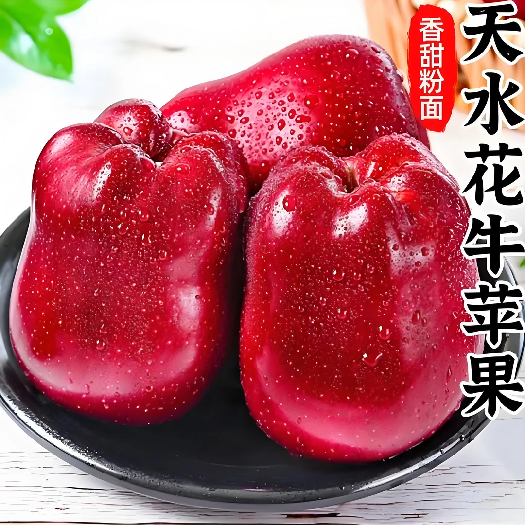 甘肃天水花牛苹果脆粉两吃新鲜超甜应季水果