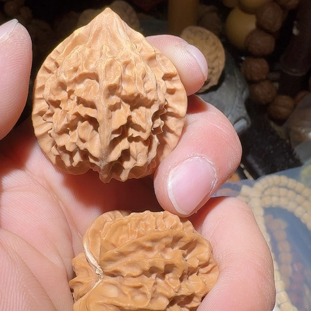 核桃38尺曹大龙有黄