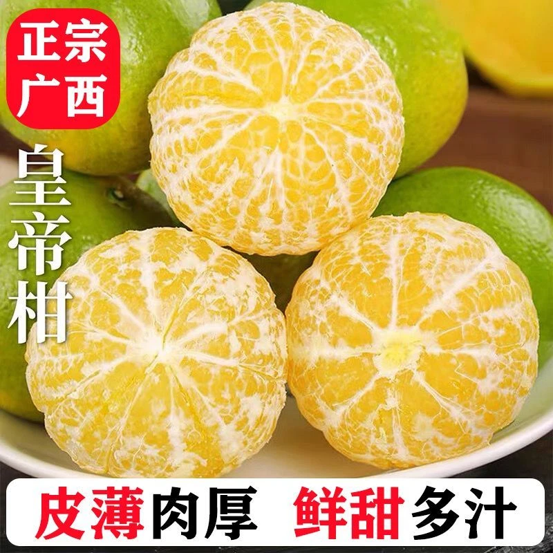 【40个】8广西皇帝柑贡柑当季新鲜水果橘子桔子新鲜采摘