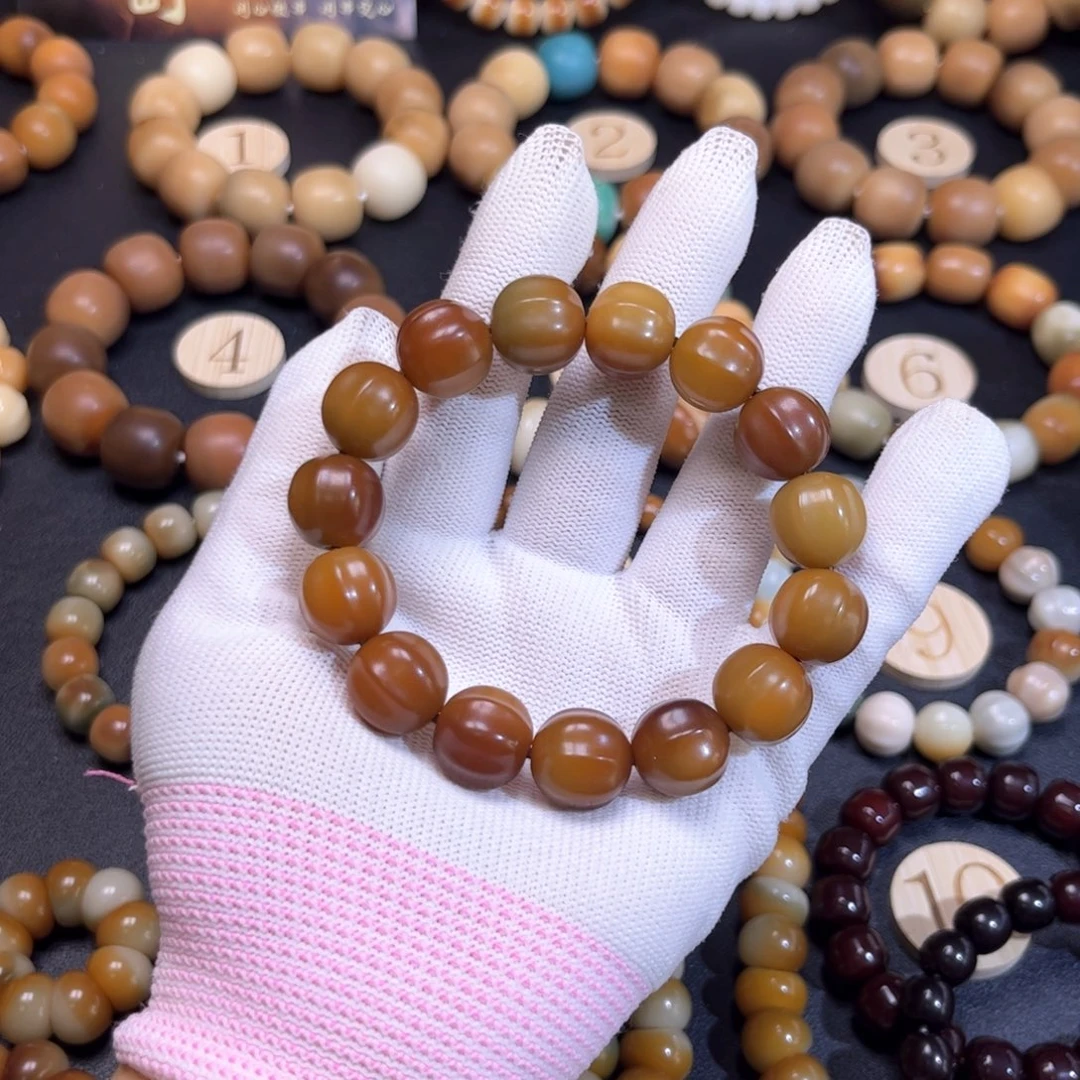 菩提根/象牙果吊坠焦糖鲨鱼贝卡14