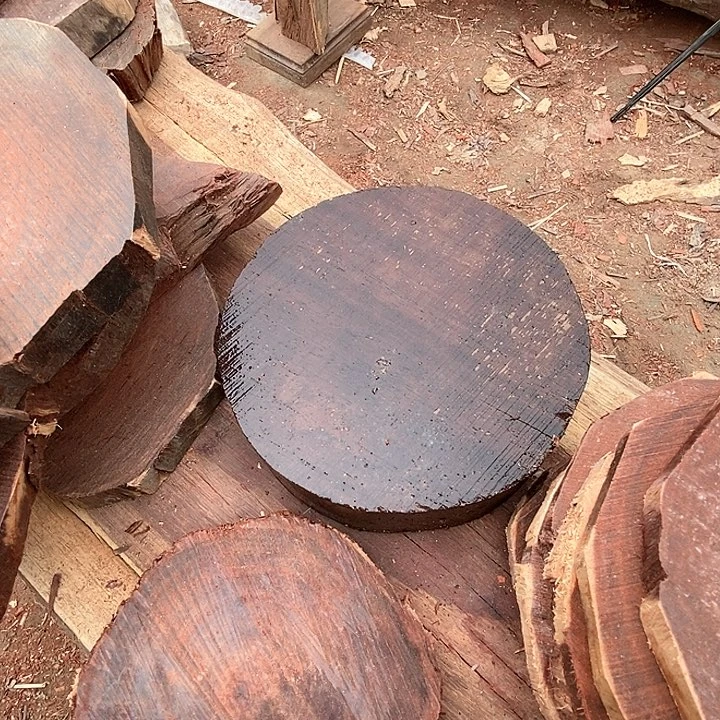 风车木（黑檀木）阳*802