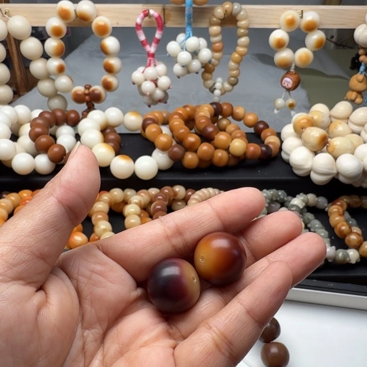 清***月手串菩提根/象牙果卡18干磨