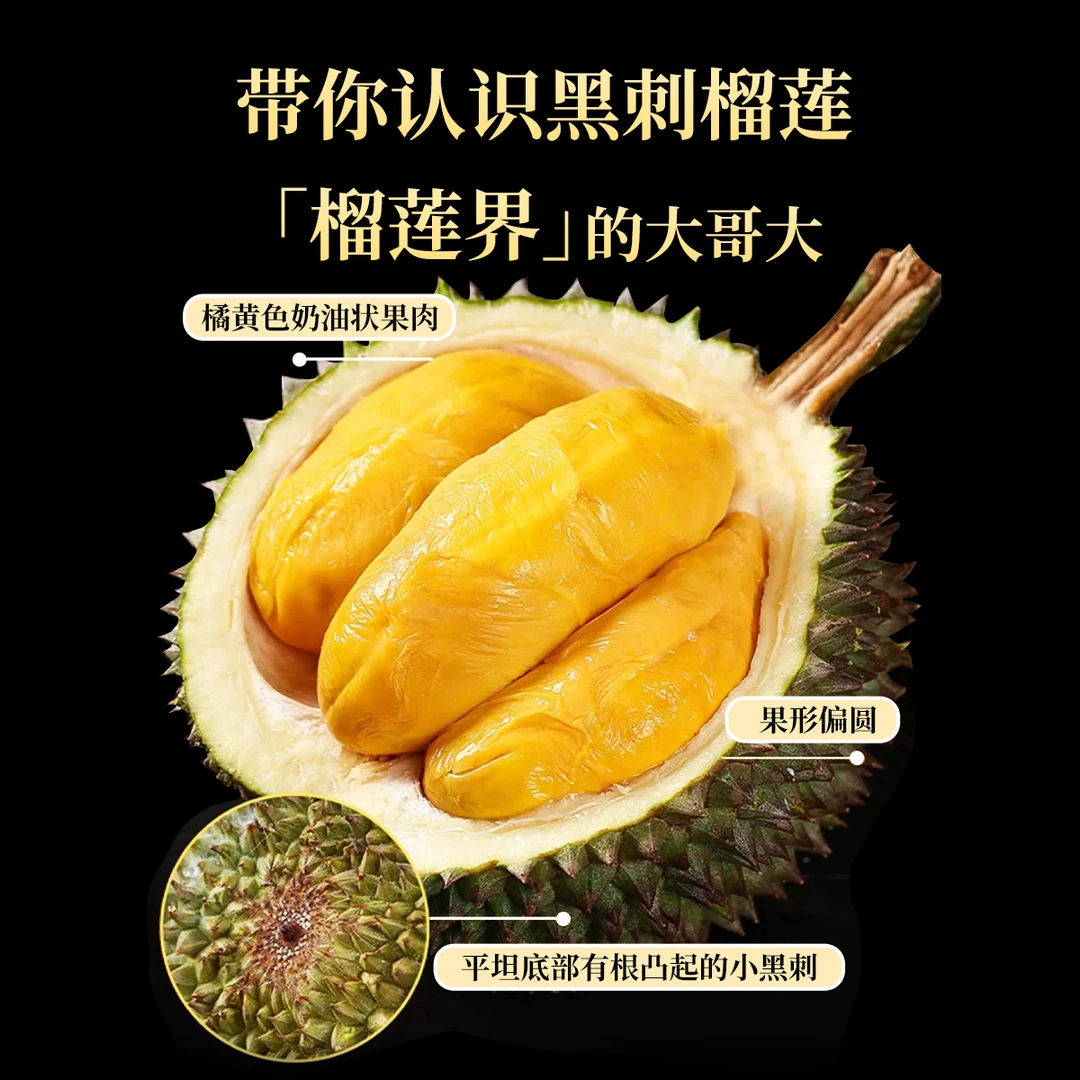 【整箱 D200黑刺  AA级保5房】D200槟城黑刺马来西亚液氮冷冻榴莲