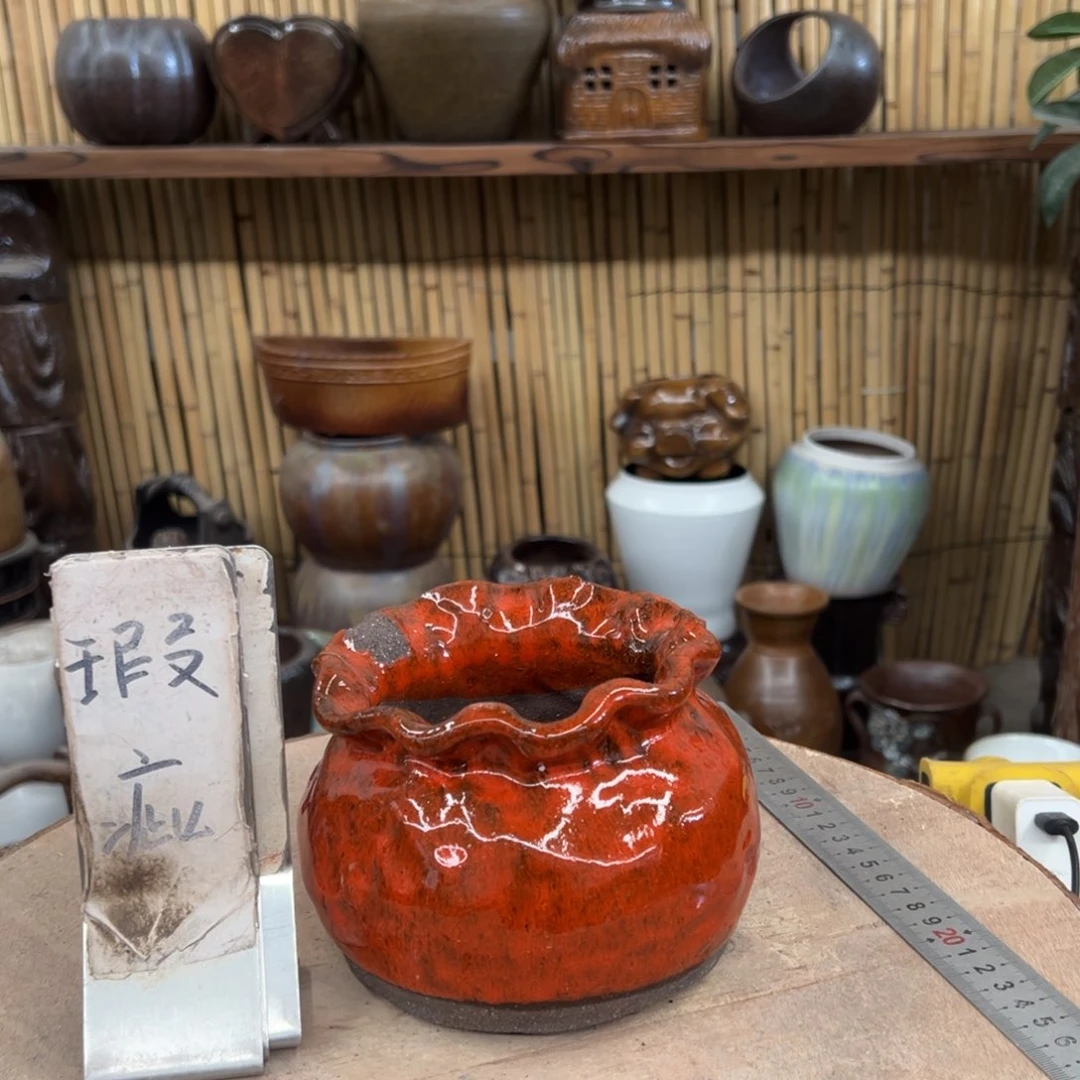 大***级瑕疵3366666666666666