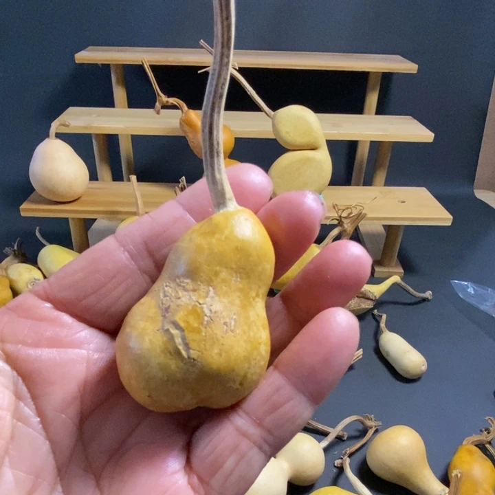 s***鹤sbxxdjsjdjdss