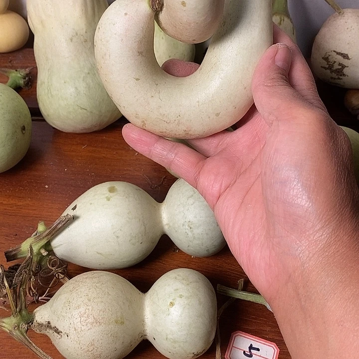 美***嗷青皮葫芦小手把件
