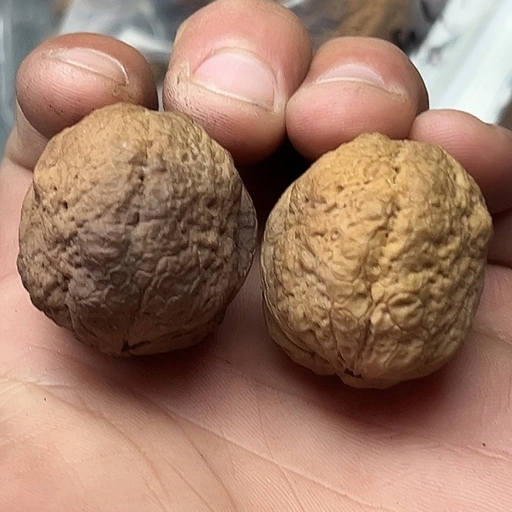 把件文玩核桃52号蝴蝶蟾35尺