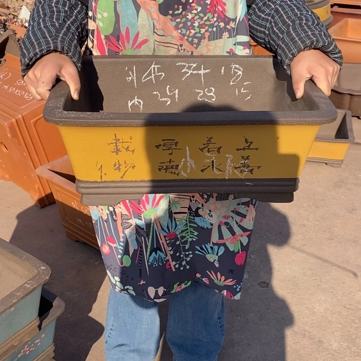 花盆紫砂只顾吃药睡