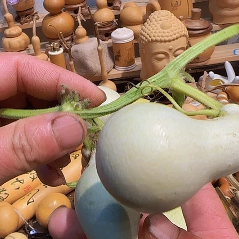 木宁***有1111111111111111