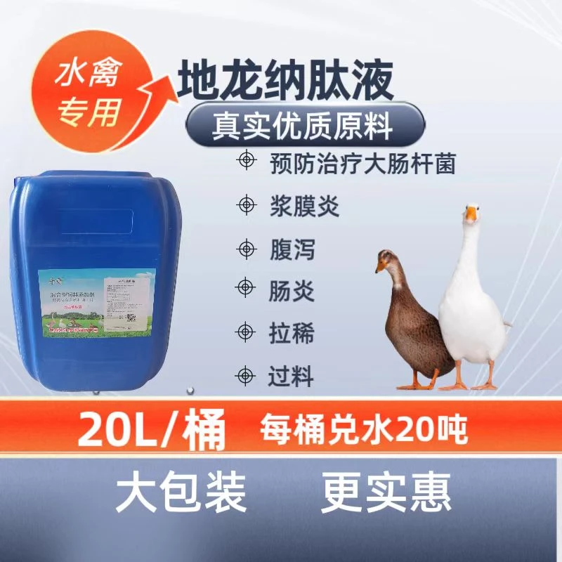 于哥推荐大蓝桶禽用初代活菌优质抗菌肽益生菌调节肠道增免降料比