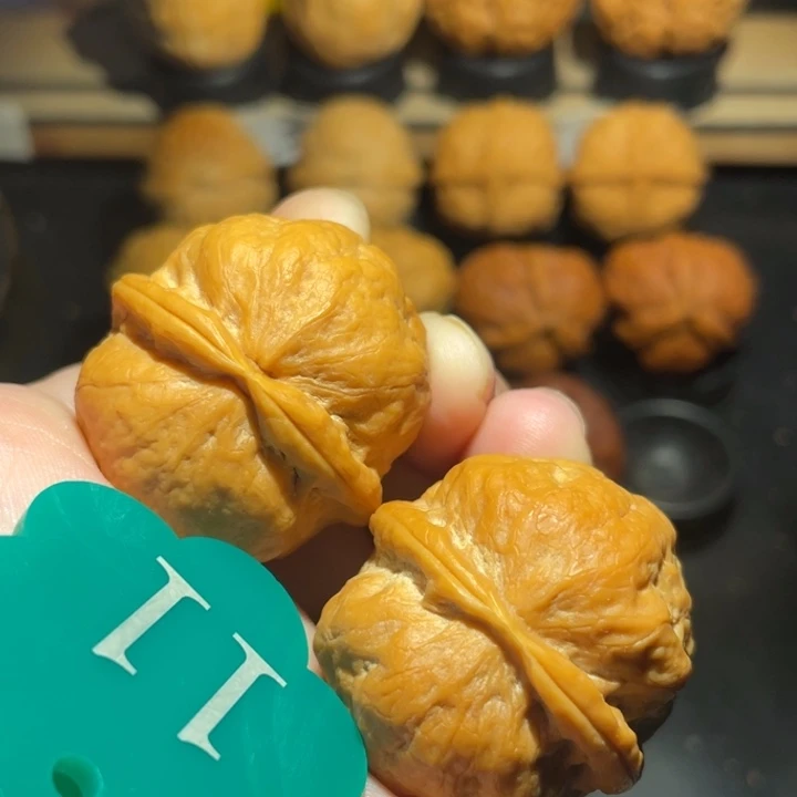 冰蟾36尺寸核桃。