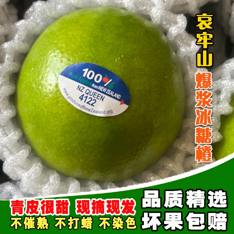 【现采现发YL】哀牢山爆浆冰糖橙5斤应季纯甜现摘现发爆汁清甜