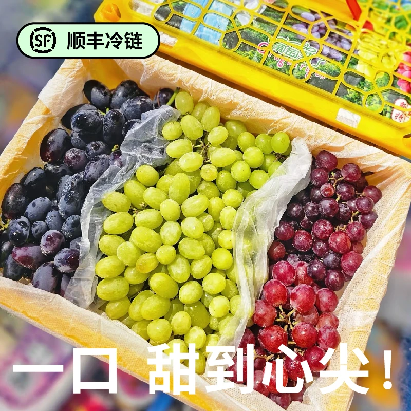 【吐鲁番葡萄熟了】无核紫+无核白+玻璃翠（超甜超香口感）一口甜到心