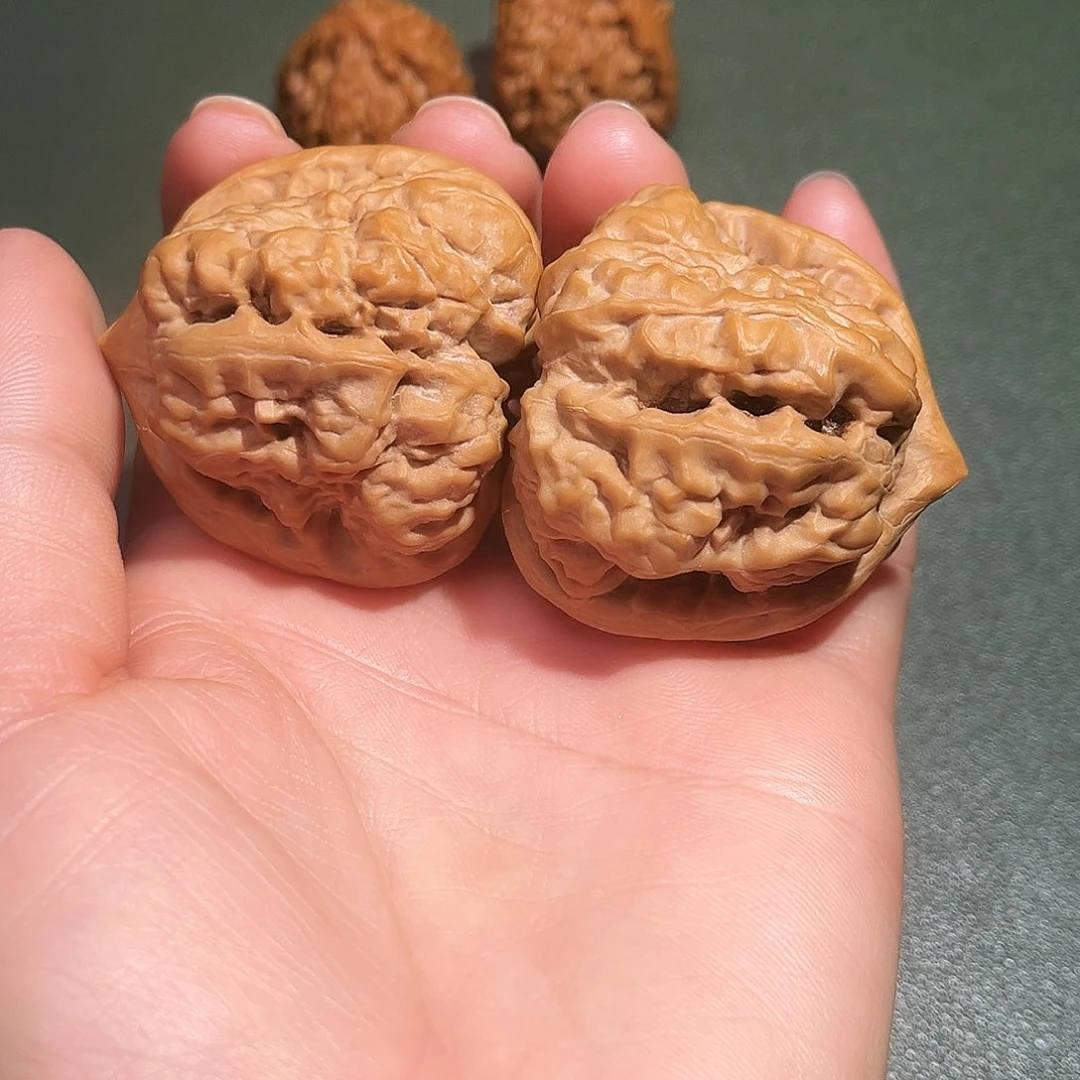 核桃涞水山地果蛤莫头42