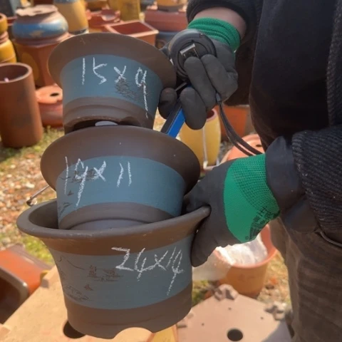 紫砂花盆紫砂花盆盆景盆栽