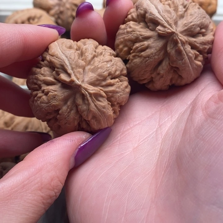 长***伴文玩核桃吊坠霸王龙