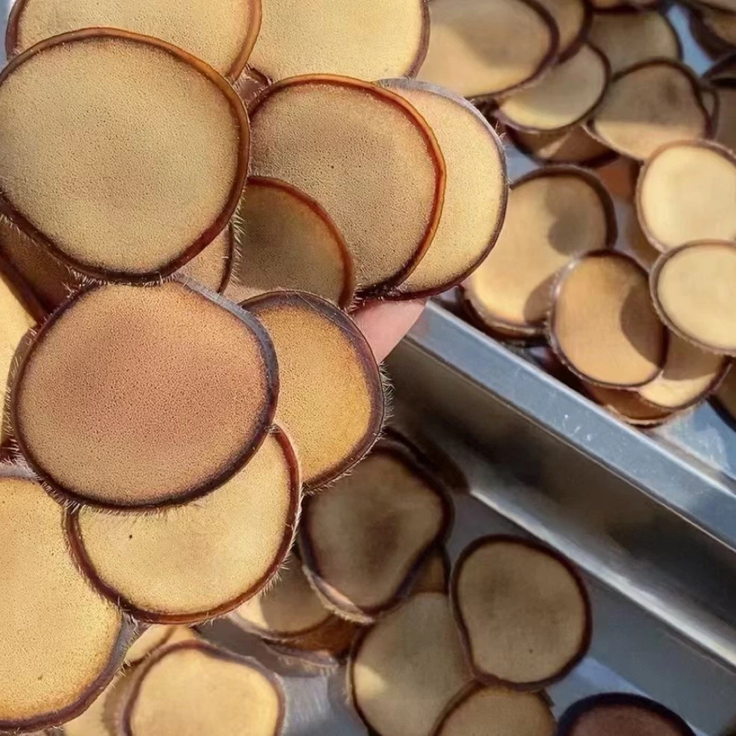 梅花鹿   干茸特粉片 足干