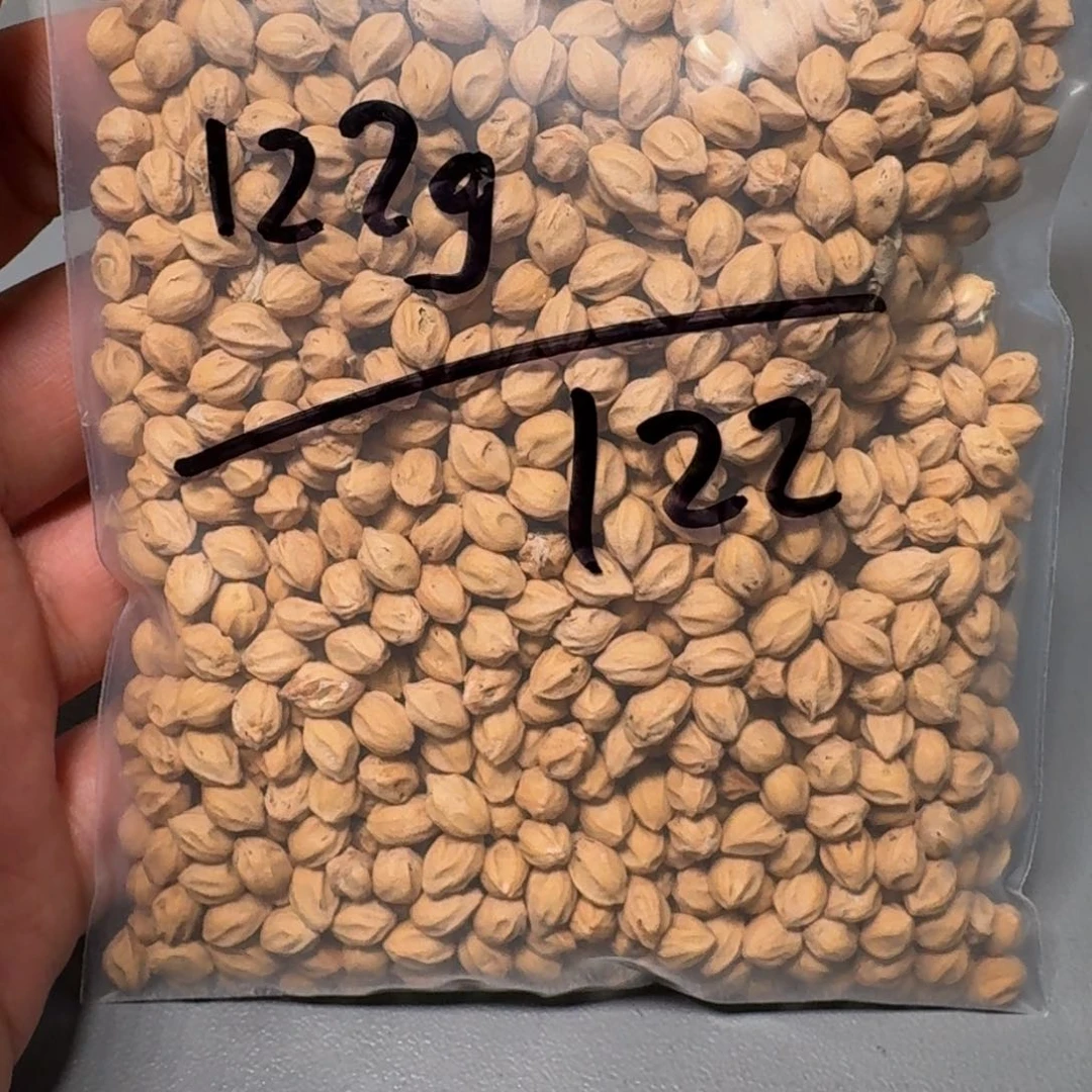 柏香籽/百香籽吊坠?*沫