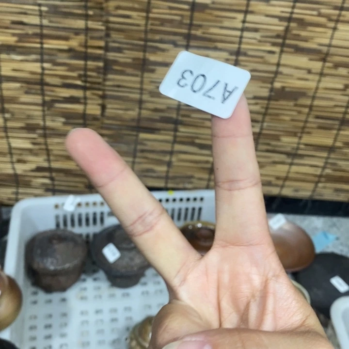 李***风其他柴烧茶器福利公道