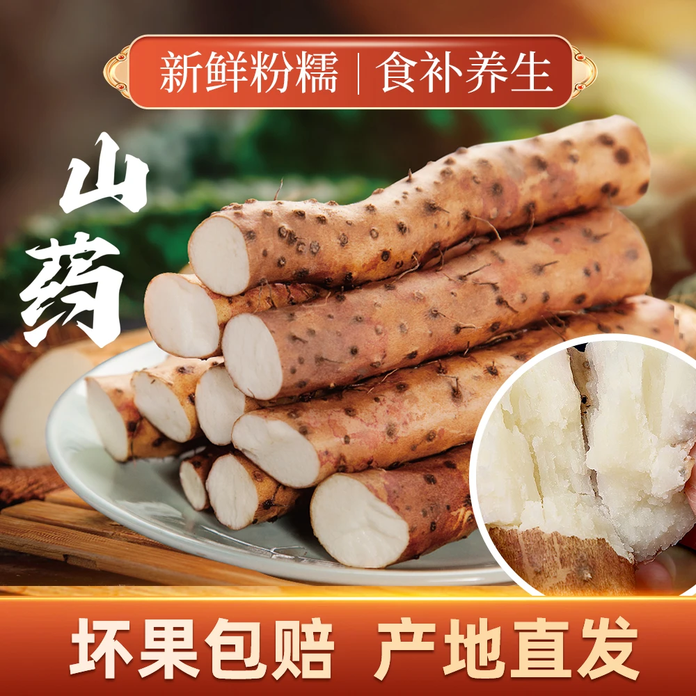河南温县新鲜正宗温县铁棍山药怀山药采挖营养果产地现发焦作滋补