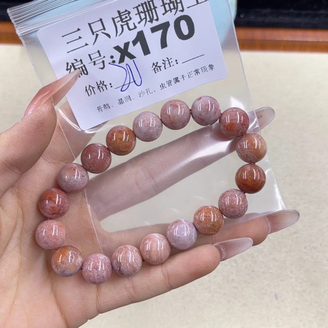 嘉***嘉硅化珊瑚（珊瑚玉）h未镶嵌