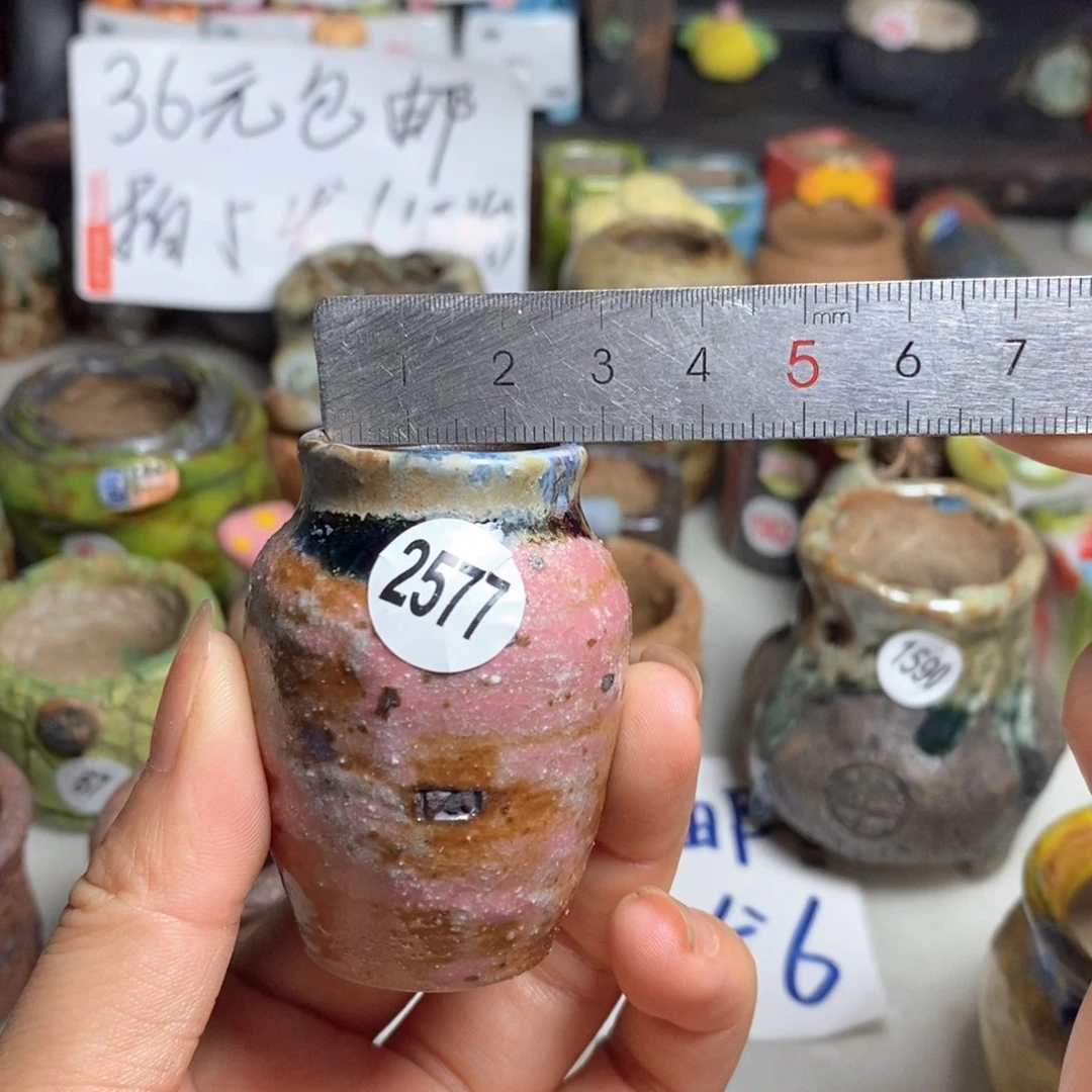 拍5送一个小礼物