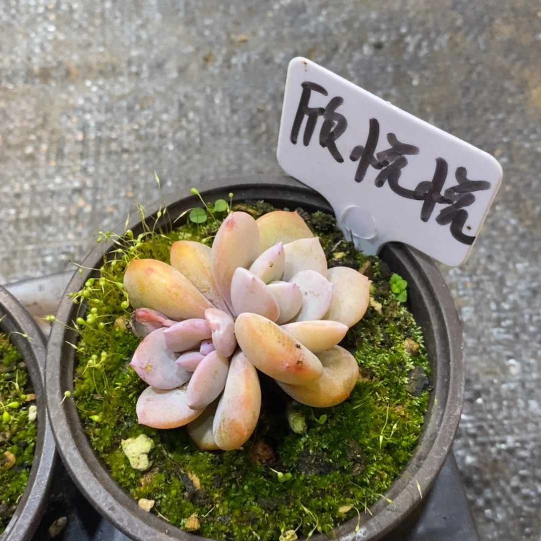 自然科学与人类发展第一线生机