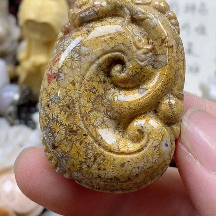 颈饰未镶嵌硅化珊瑚（珊瑚玉）