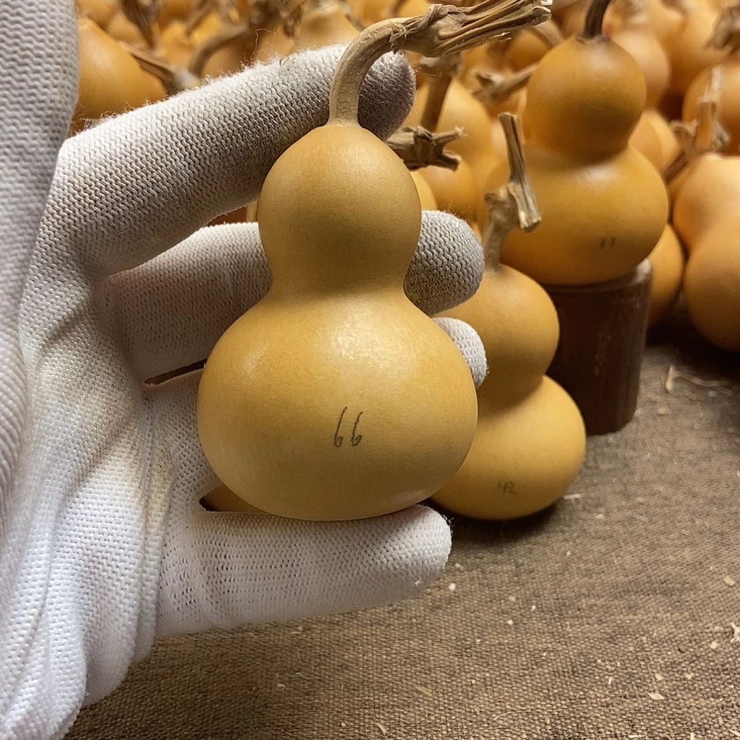 文玩葫芦 完美主义者 慎拍66