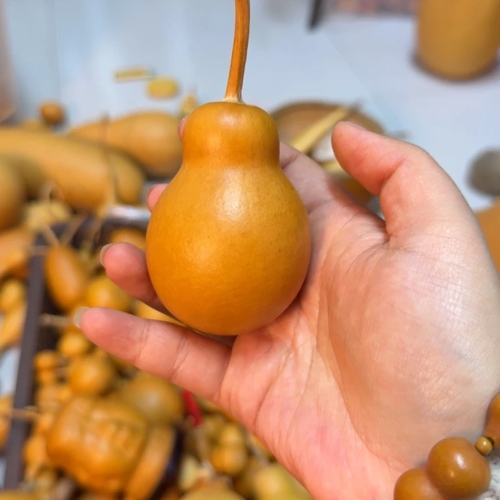 ****花竹类老皮灯泡葫芦