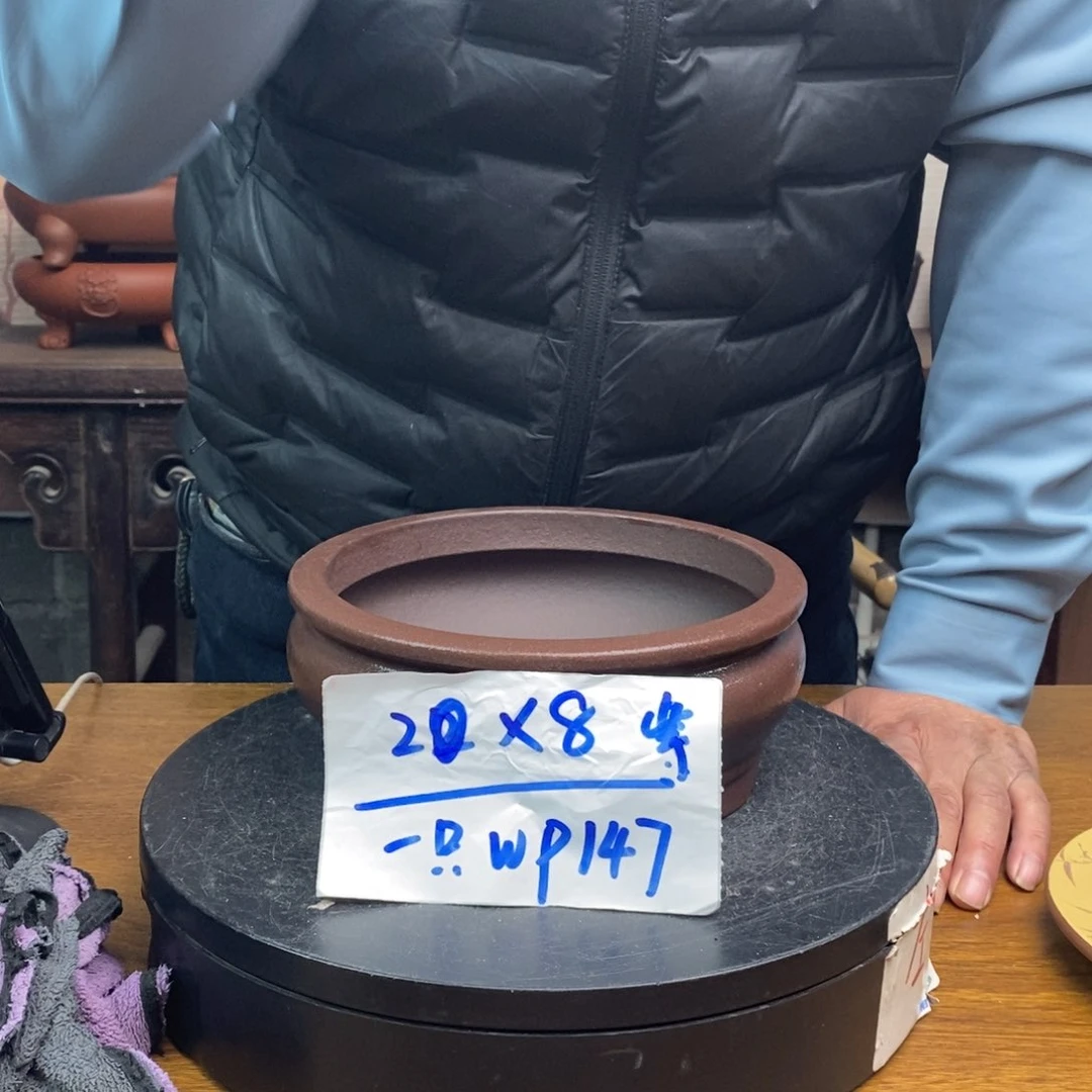 紫砂货号一只WP147