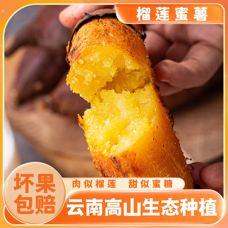 捣蛋薯正宗云南高原红薯希露库丝滑榴莲蜜薯黄心金时地瓜