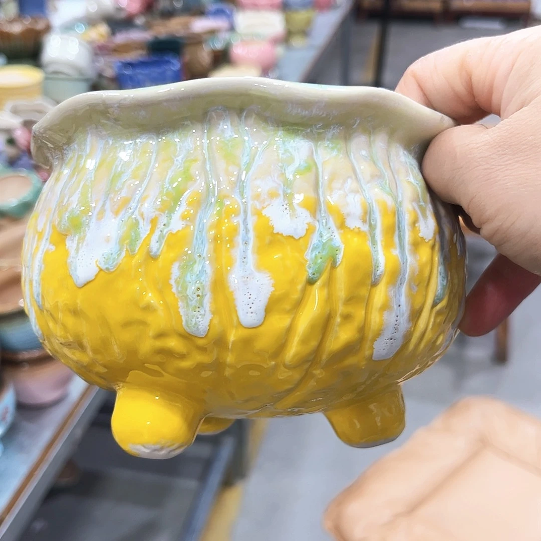 花盆花盆花盆花盆花盆花盆花盆花盆