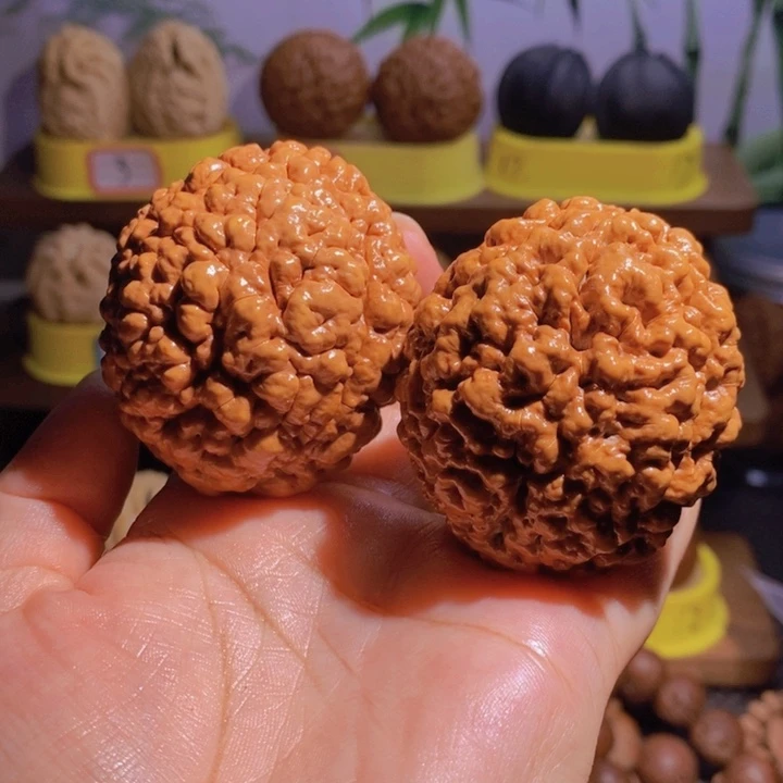 野生三瓣脑纹大金刚4857