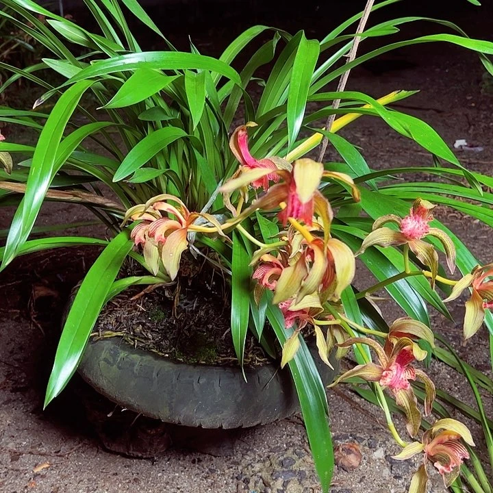 完全开放1111111111111