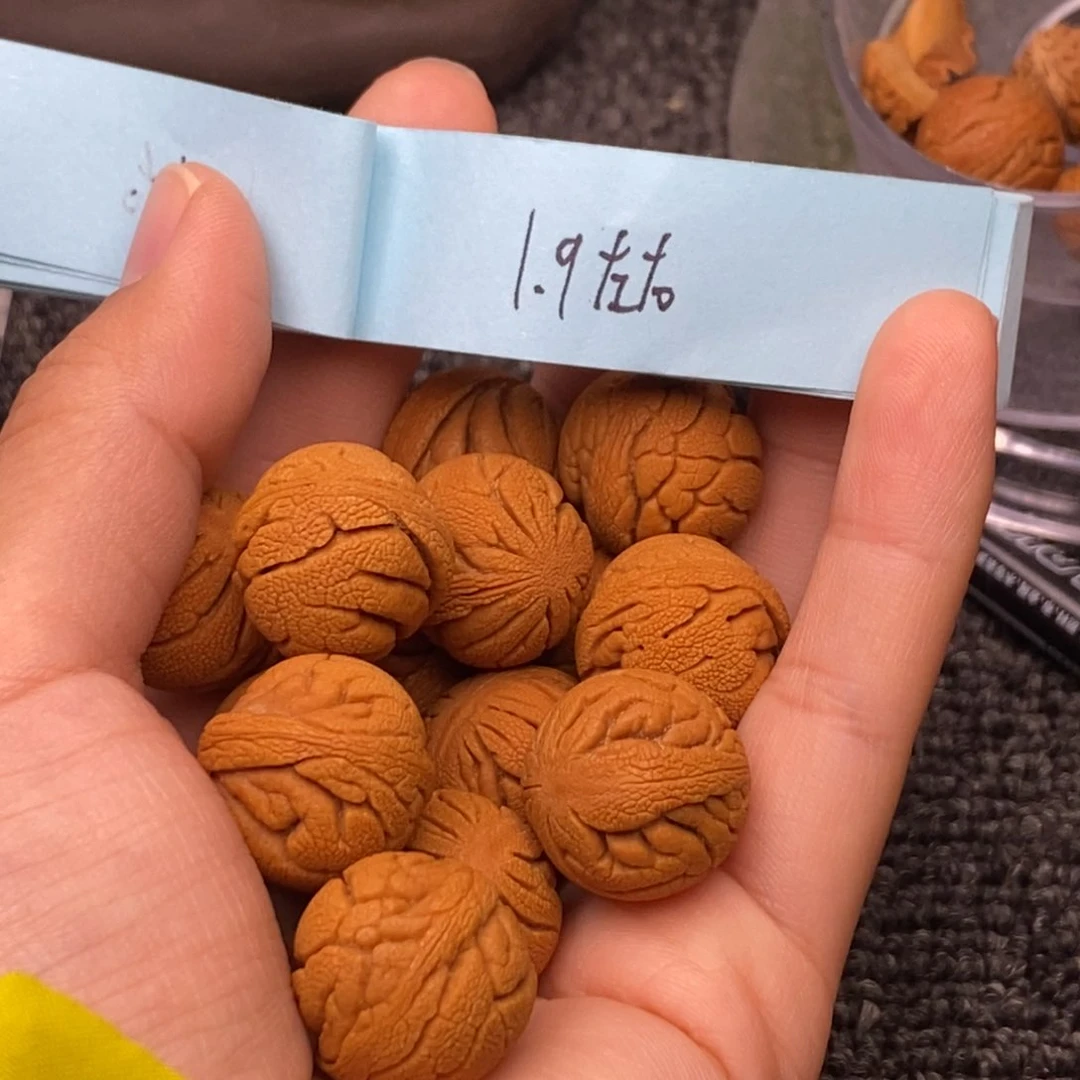 秦岭山脉龙纹桃核 14k