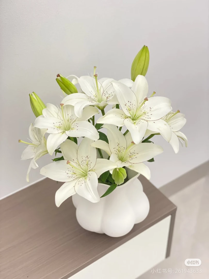 【眼线亚百合】云南优选鲜切花昆明基地直发家用插花节日