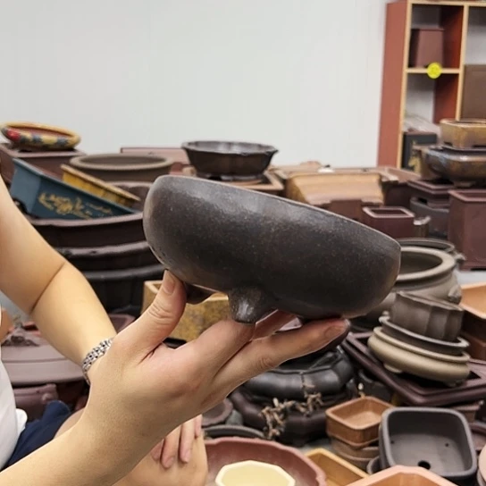 紫砂花盆里都藏的什么玩意儿