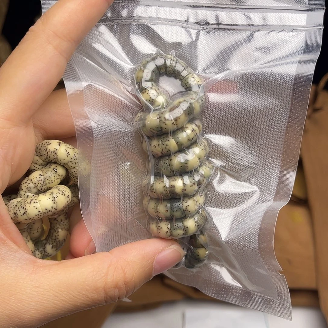 吊坠星月菩提大肠