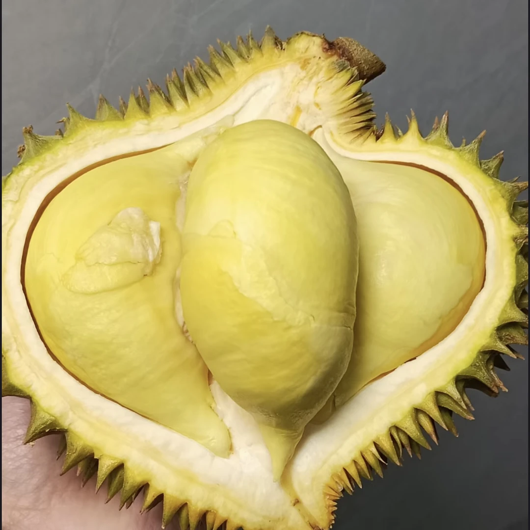 「巴掌丑果」陆运小巴掌金枕榴莲（保3房）-歪瓜裂枣