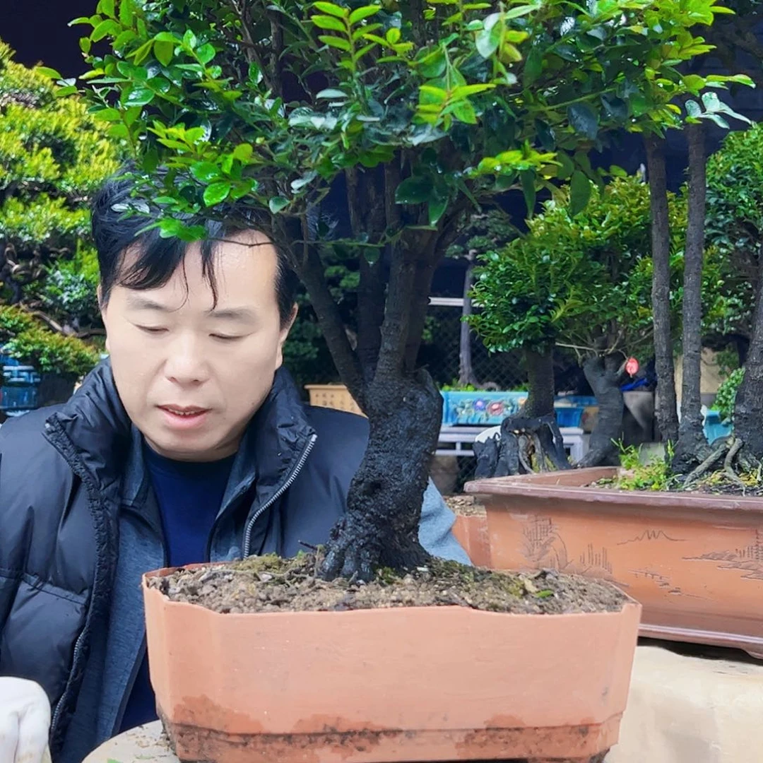 以实际为准老**卉18