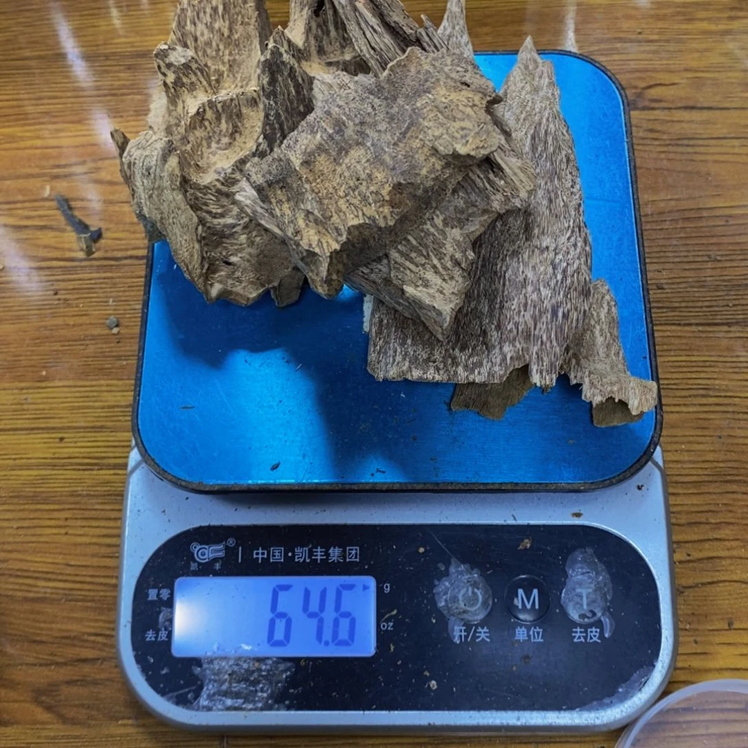 巴***饭沉香碎屑沉香海南吊齿64克